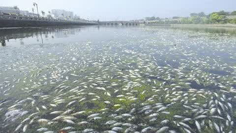 金利源，金利源凈水器，凈水器品牌，家用凈水器品牌，凈水器十大品牌，凈水器代理，凈水器加盟，凈水器廠家，凈水機(jī)，家用凈水器