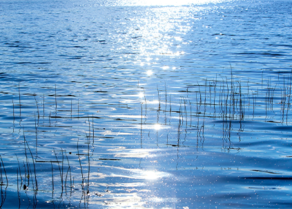 為什么要買凈水器，知道的人都默默的裝了凈水器