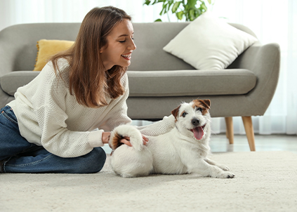 當前大環(huán)境下凈水器品牌該如何維護市場