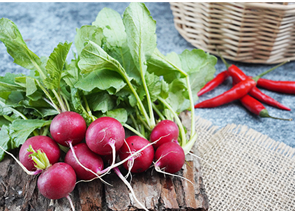 金利源：提升凈水器門店客戶數(shù)量，這幾點(diǎn)很關(guān)鍵！